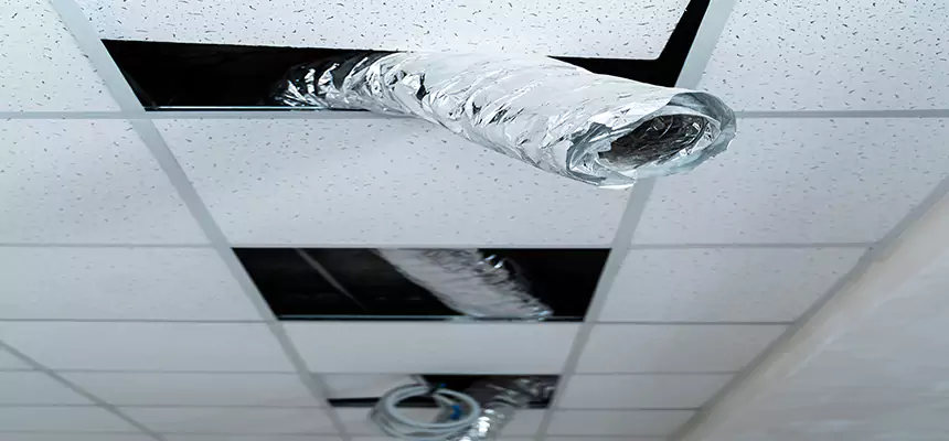 Affordable HVAC Sanitizing After Pest Removal in Villa Park