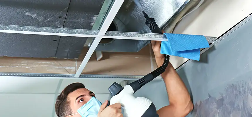Our Air Duct Rodent Removal Services in Villa Park, IL