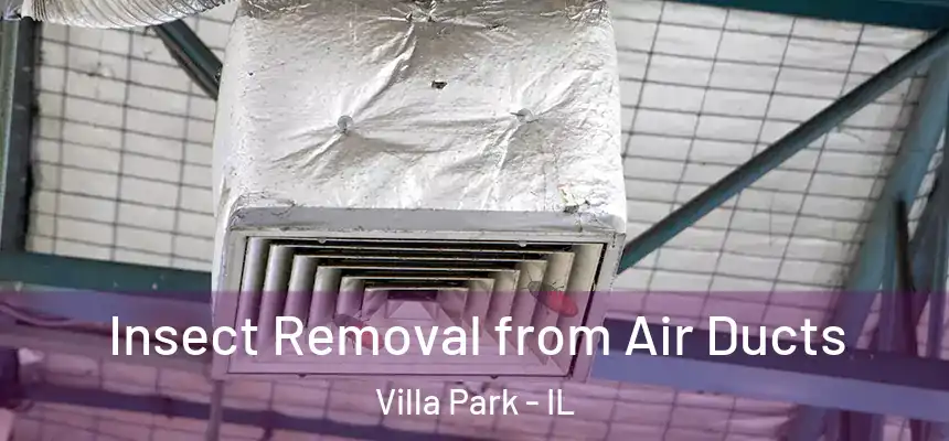  Insect Removal from Air Ducts Villa Park - IL