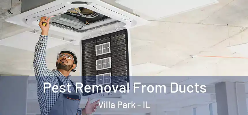  Pest Removal From Ducts Villa Park - IL