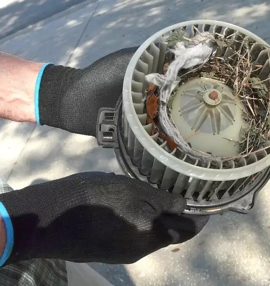 About Air Duct Mice Removal in Villa Park, IL