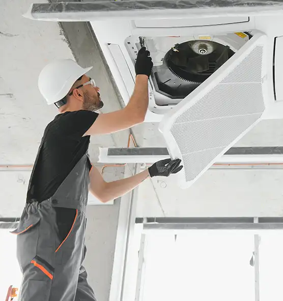 About Air Duct Rodent Removal in Villa Park, IL