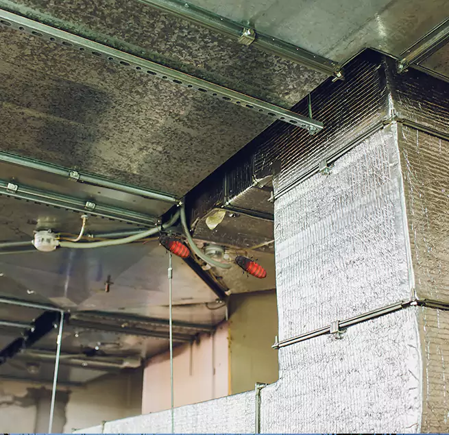 Why Homeowners & Businesses Trust Us in Villa Park, IL?