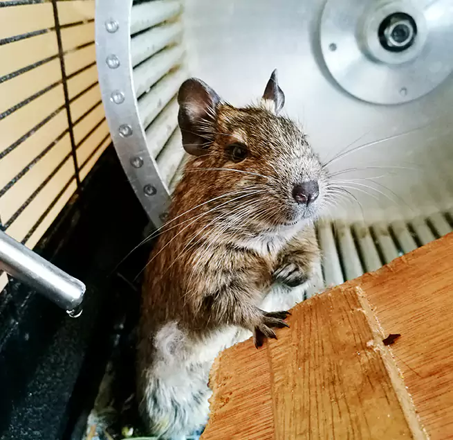 Why Homeowners & Businesses Trust Us Villa Park, IL