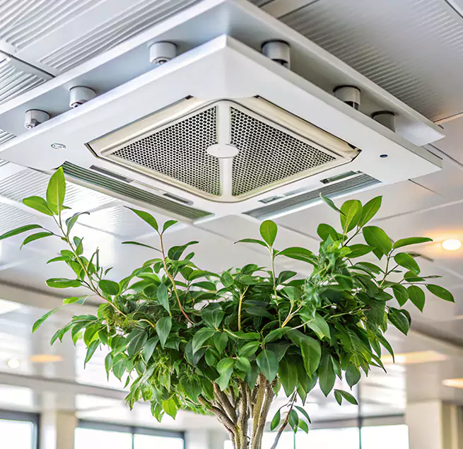 Why Homeowners & Businesses Trust Us in Villa Park, IL