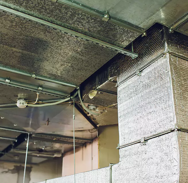 Why Homeowners & Businesses Trust Us in Villa Park, IL?